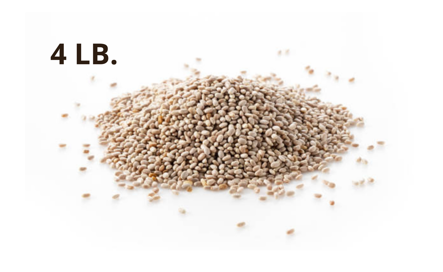 White Chia Seeds, 4 lb., Limited Supply!