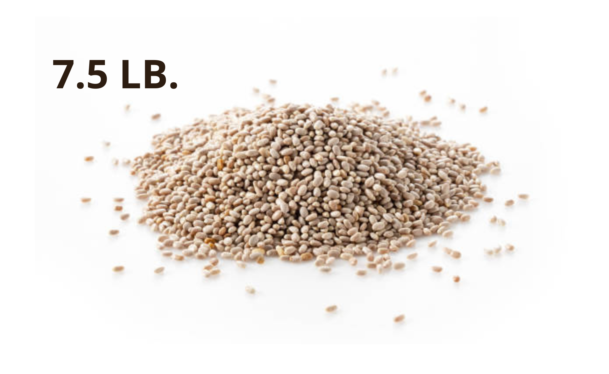 White Chia Seeds, 7.5 lb., Limited Supply! – Chia Seeds Direct White Chia Seeds, 7.5 lb., Limited Supply! – Chia Seeds Direct