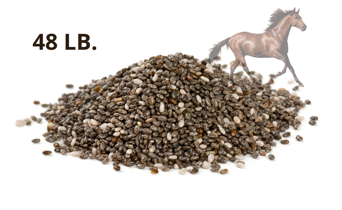 Chia Seeds for Horses, 48 lb. Bulk, Limited Supply!