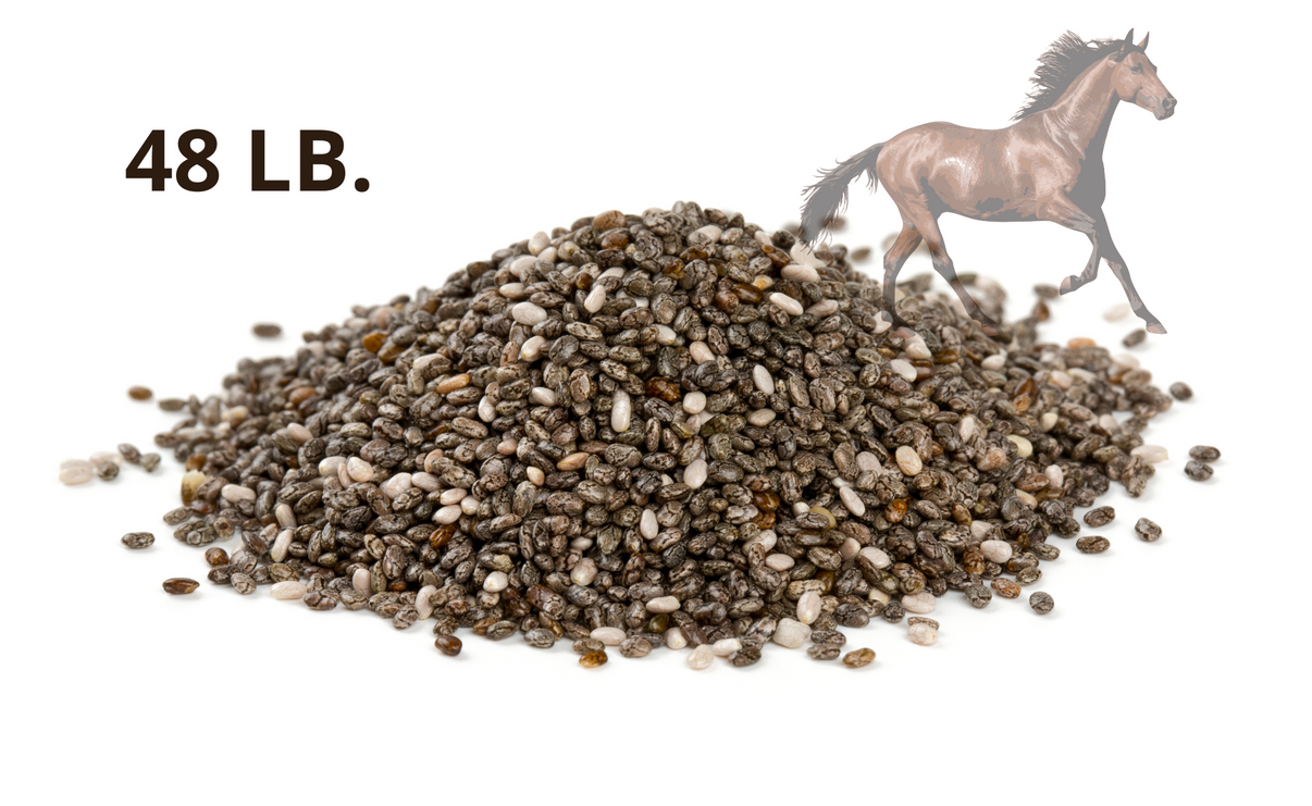 Chia Seeds for Horses, 48 lb. Bulk, Limited Supply! Chia Seeds Direct